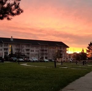 Meet your Posher, Natasha